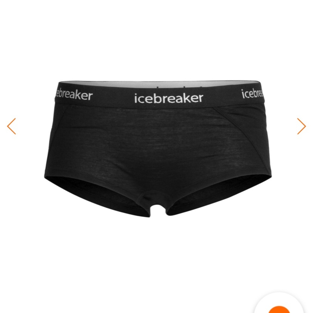 Women’s Icebreaker Merino Wool undies. - New with tags!